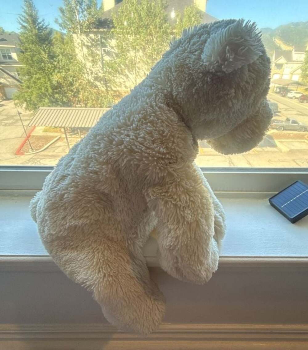 Jellycat White Perry Polar Bear Large 18” Retired Soft Toy Plush Stuffed Animal